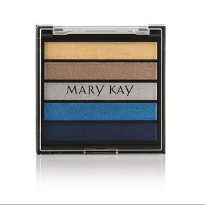Mary Kay Rock the Runway Eye Color Palette
